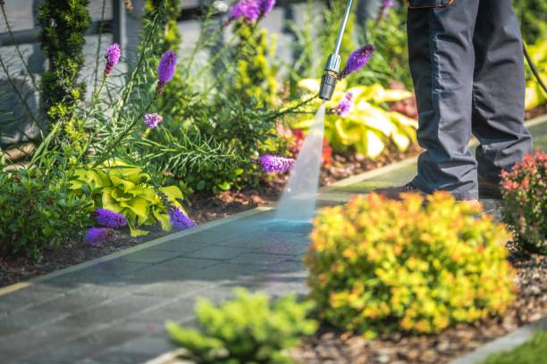 West Lealman, FL Pressure Washing Company