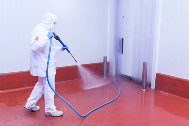 Best Spring Cleaning  in West Lealman, FL